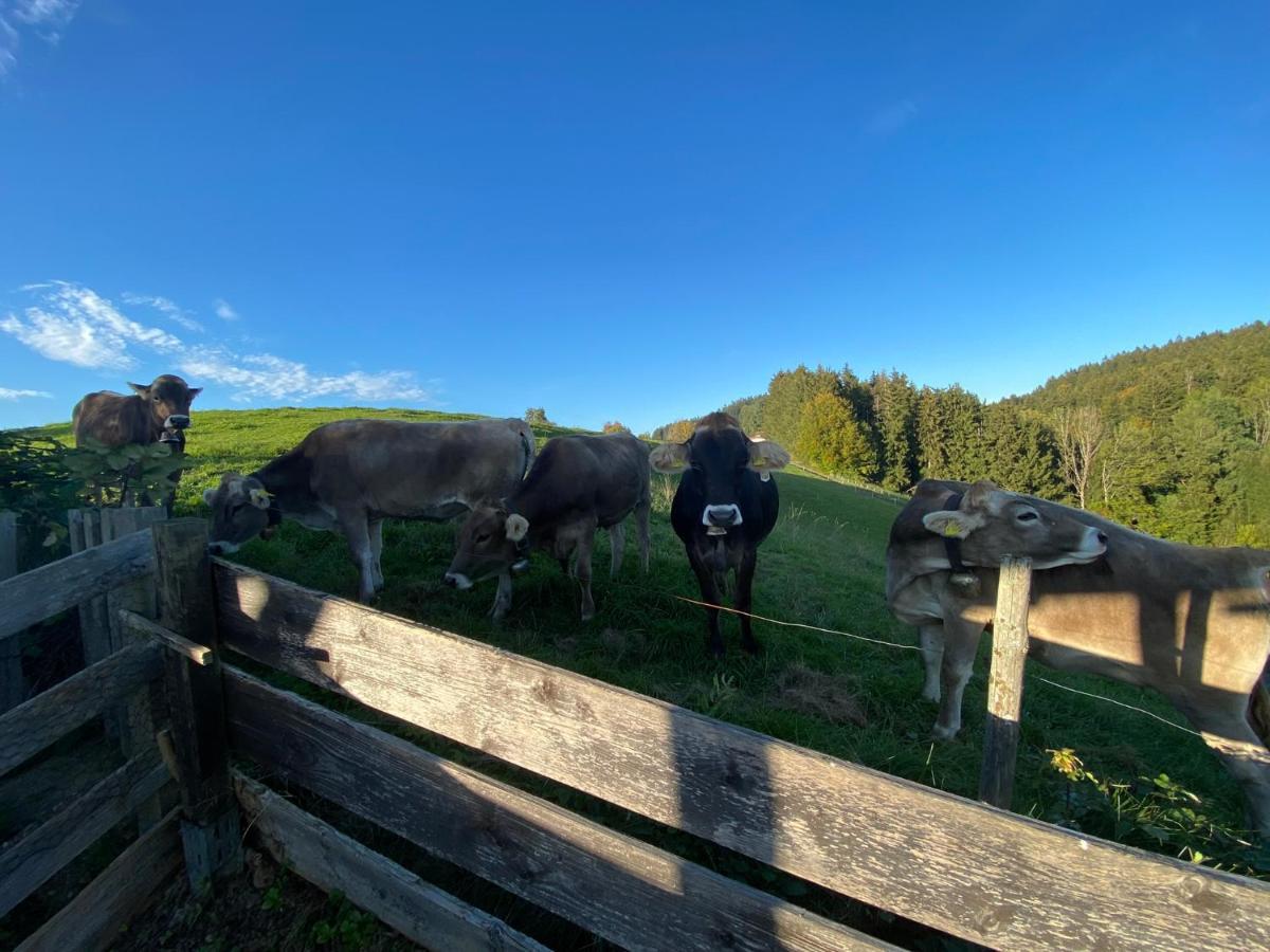 Ferienwohnung Bergblick Wangen Im Allgaeu Mit Garten, 2022 Komplett Renoviert Extérieur photo